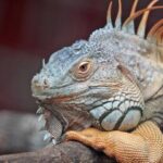 3D开奖和值走势图最新数据分析与预测 3i0dhg