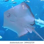 2010年全年彩票开奖记录完整数据汇总 5nn6zo