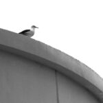 2010年大乐透全年开奖记录完整回顾与详细汇总 82ndz2w6