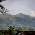 2012078期双色球开奖号码结果查询 gc9vn41