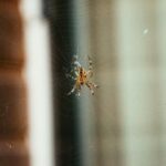 20118期开奖结果正式公布,大奖花落谁家引关注 j1yz2kkb6