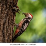 3D开奖太湖字谜深度解析与预测 qfu9r7r3