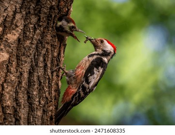 3D开奖太湖字谜深度解析与预测 3D开奖太湖字谜深度解析与预测