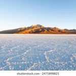 3d开奖号码走势连线图专业分析工具 qykwjq