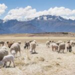 2011年3d开奖号码历史记录完整查询 ushvi