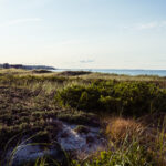 2011年排三开奖结果历史数据全记录 xywd4nxume