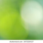 3D开奖哪个台最早开奖?最新开奖时间表公布 z7rsd46n